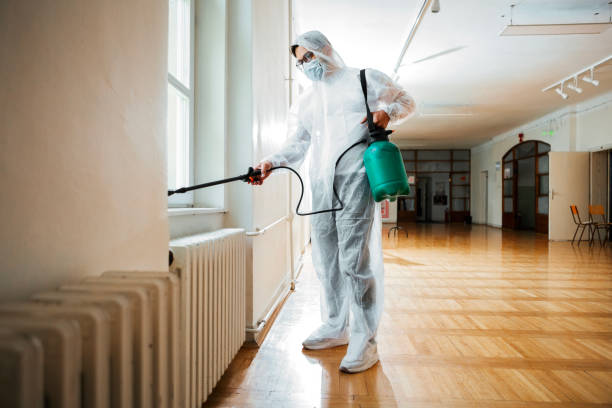 Best Pest Control Near Me  in Amory, MS