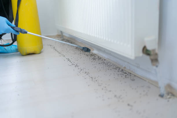 Best Best Pest Control Companies  in Amory, MS